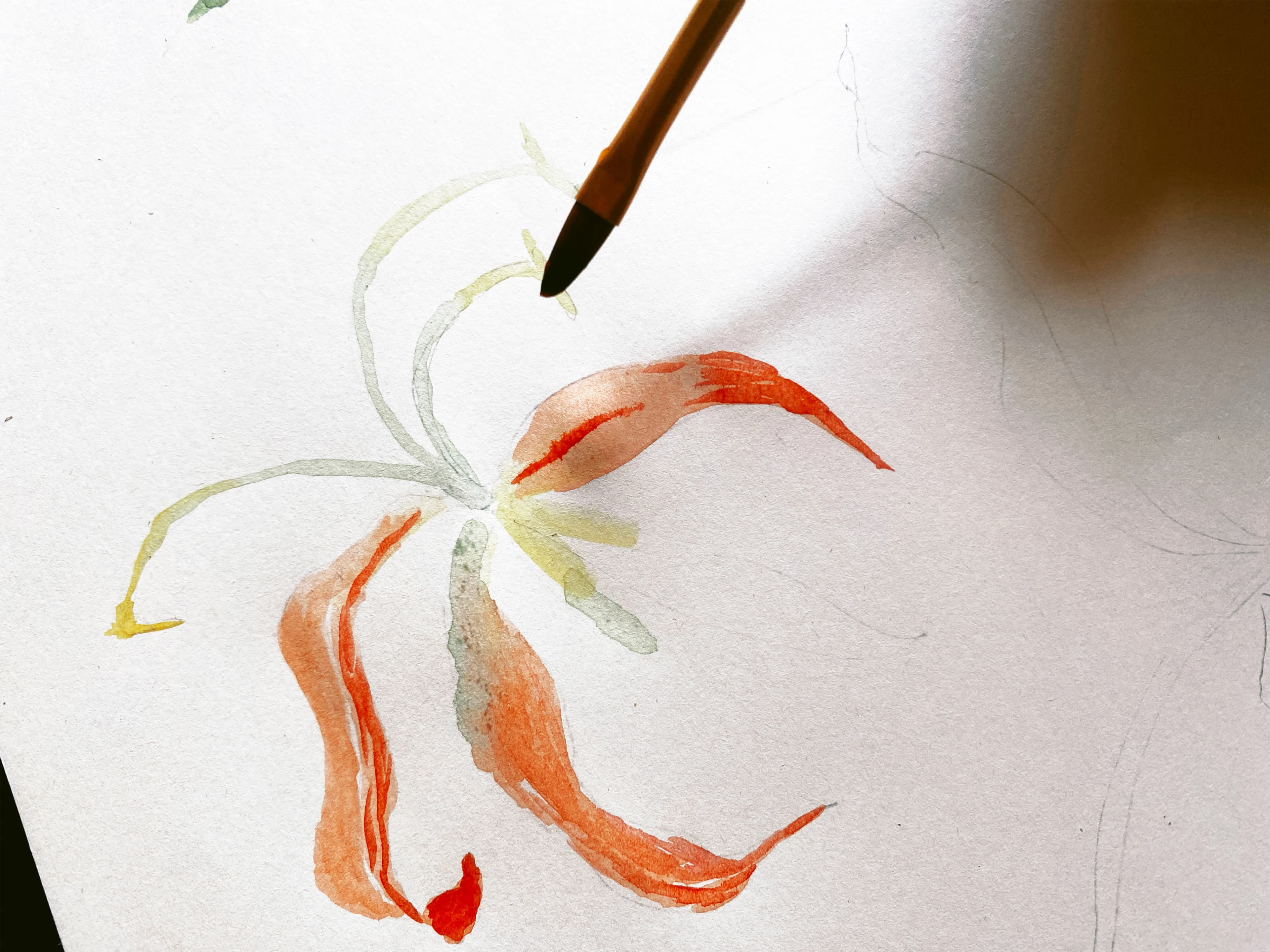 Illustration & Artwork